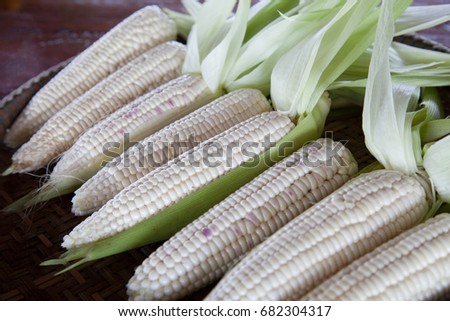 Fresh white sweet corn 