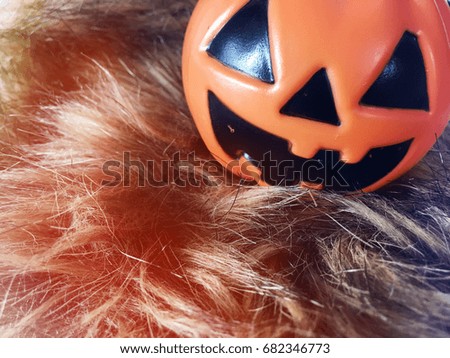 Pumpkin halloween On the wool floor