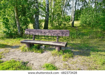 Wooden benches among the trees -  idea of making of wood for outdoor decoration