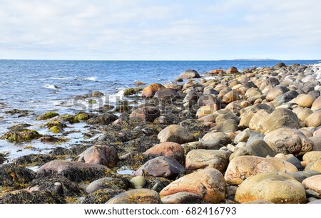Stone, sea and sky, weed in the water,natural green pattern and texture of sea grass on a stone,Green background of algae seaweed. bright seaweed . Natural velvet texture of sea grass. Sea plant.