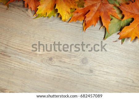 Autumn Leaves frame over wooden background