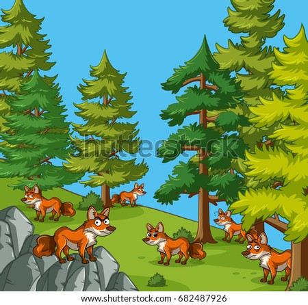 Many wolves on the mountain illustration