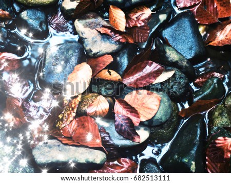 Film grain effect. Fallen beech leaves and stones in water of mountain river. Autumn colors. Symbol of fall season.  Orange rotten  leaves 