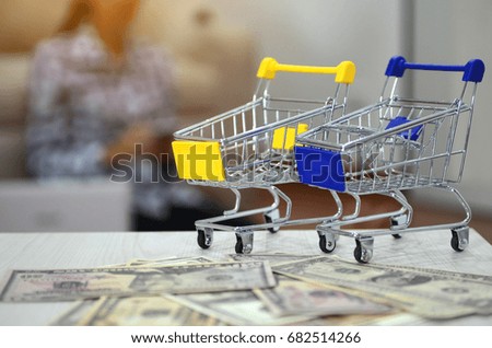 Shopping Cart  model are  on  the  money,woman  background