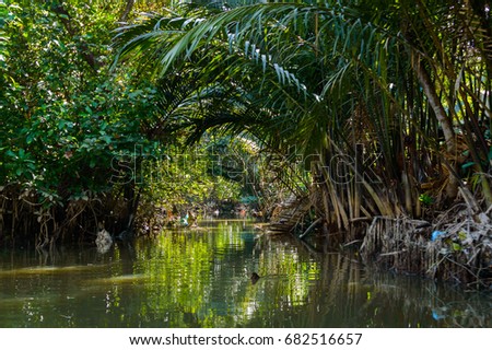 Small canal in Mekong Delta. Thickets on the banks of the river