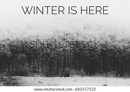 Winter is here text with winter scene in the background. Black and white photo