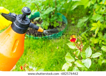 Hand with garden sprayer. Studio Photo
 Royalty-Free Stock Photo #682576462