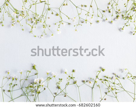 Flower pattern of wildflowers. Composition of flowers and plants. Top view. Floral abstract background. Small white flowers on a blue paper background.  Flower concept.
 Royalty-Free Stock Photo #682602160