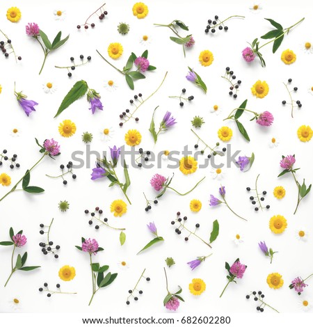 Flower pattern of wildflowers. Composition of flowers and plants. Top view. Floral abstract background. Flower concept. Bright multicolored flowers isolated on white background.
 Royalty-Free Stock Photo #682602280
