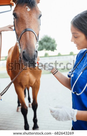 Veterinarian examining horse. Selective focus on hand.