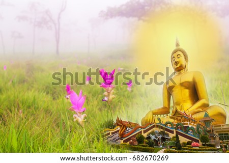Good morning Wednesday with golden Buddha statue