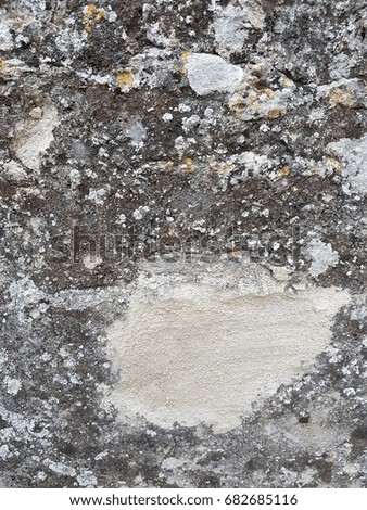 Grey cement wall background 