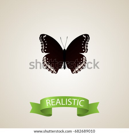 Realistic Hypolimnas Element. Vector Illustration Of Realistic Spicebush Isolated On Clean Background. Can Be Used As Hypolimnas, Black And Butterfly Symbols.