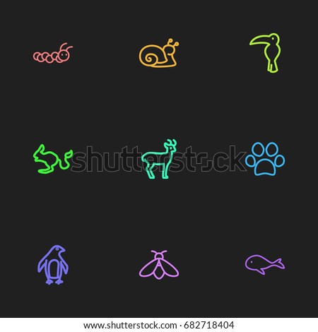 Set Of 9 Editable Zoo Outline Icons. Includes Symbols Such As Escargot, Dog Steps, Bumblebee And More. Can Be Used For Web, Mobile, UI And Infographic Design.