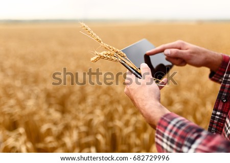 Smart farming using modern technologies in agriculture. Man agronomist farmer with digital tablet computer in wheat field using apps and internet, selective focus Royalty-Free Stock Photo #682729996