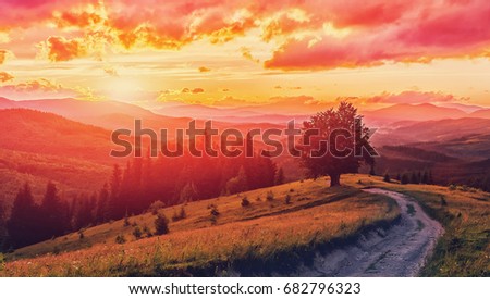 colorful sky in sunset over meadow. in the Carpathian mountains. Dramatic sky. picturesque scene. vintage style. instagram toning effect. artistic creative image. soft light effect