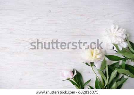 White peony flowers on  wooden background
