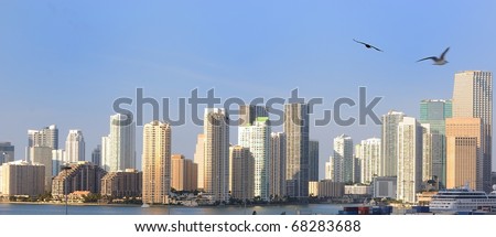 The skyline of Miami, Florida.