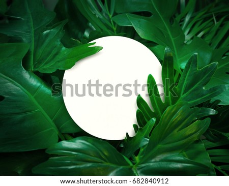 White space with green leaves background design with white paper.Flat lay.Top view of leaf.Nature concepts