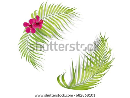 Tropical palm leaves on yellow background. Minimal nature. Summe