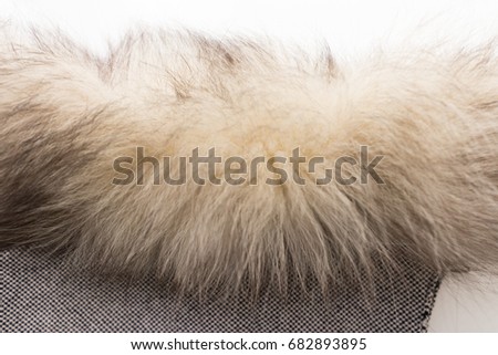 The fur of a Arctic,  polar fox Fox. Texture. Stock photo Top view. Close-up