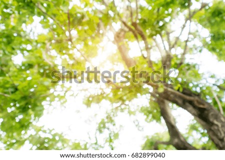 Abstract bokeh blur tree nature background with sunlight on summer.