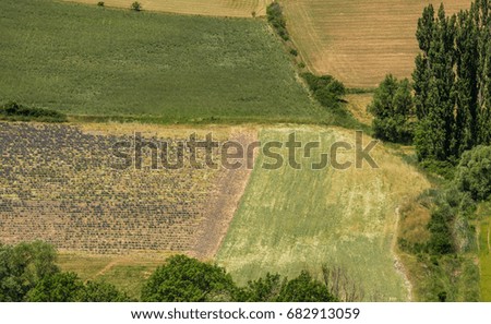 Scenic Provencal countryside landscape during summer time