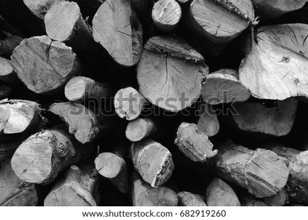 Face on view of wooden log stacks, varying in size, in black and white.