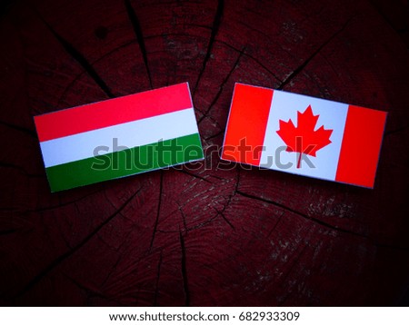 Hungarian flag with Canadian flag on a tree stump isolated