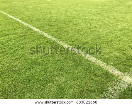 soccer fields with line.