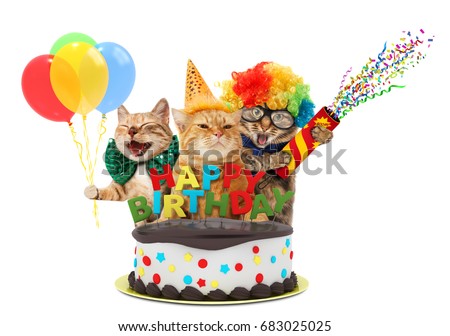 Funny cats with happy birthday cake. They are wearing a party hat, isolated on white background. Royalty-Free Stock Photo #683025025