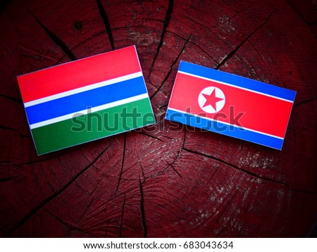 Gambian flag with North Korean flag on a tree stump isolated