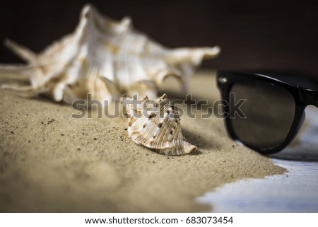 Image on a beach theme. Shells, sand and sunglasses on a wooden 