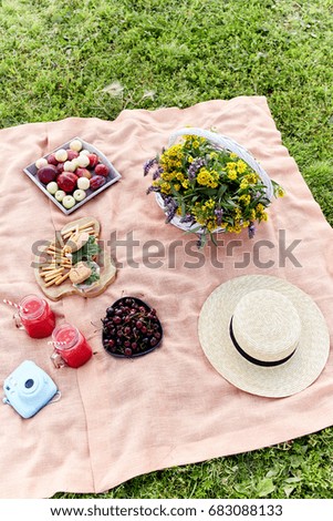 Picnic at the park on the grass: tablecloth, basket, healthy food and accessories