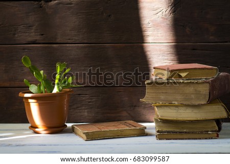 Amazing image of folded books next to a cactus in a pot