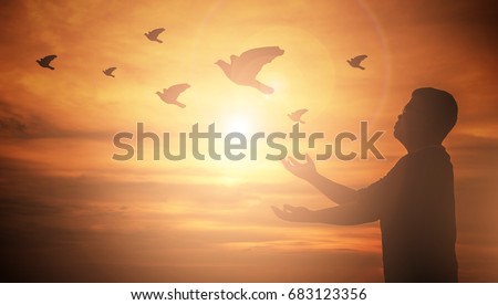 Man praying and free bird enjoying nature on sunset. Human raising hands. Worship christian Religion. silhouette pigeon flying out of two hand and freedom concept and international day of peace.