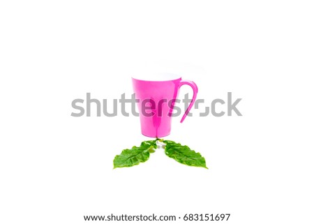 Green coffee leaf with pink cup on white background.fresh Green leaves.