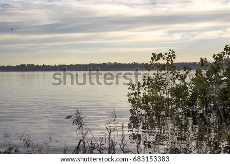 the trees in the water on the banks of the Volga river. the flood of the Volga river at dawn