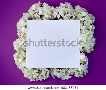 Mock up, white paper for your text with white flower on pink background, invitation