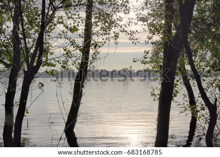 the trees in the water on the banks of the Volga river. the flood of the Volga river at dawn