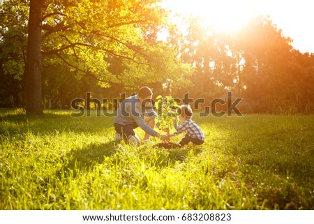 Side view of happy man with son planting tree on meadow in back lit.  Royalty-Free Stock Photo #683208823