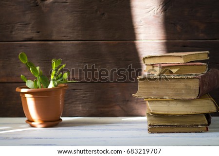 Amazing picture of folded books next to a cactus in a pot under 