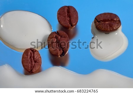 Roasted coffee bean on blue background with milk (dairy) drops and wave