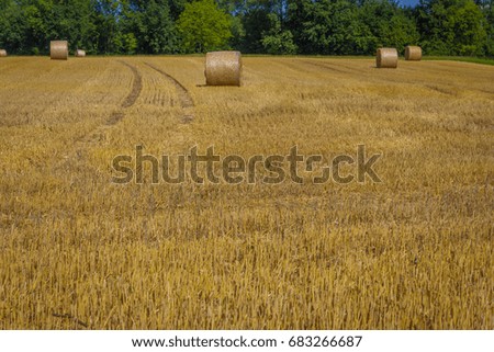 a scythed field with some round straw bales in the background