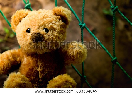 Sad bear alone