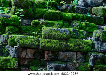 Rainfall in the monsoon Green moss and weeds thrive on the ancient brick of the ruins.
