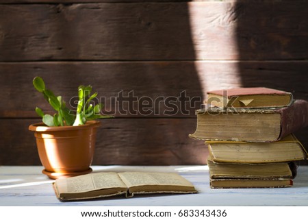 Beautiful picture of books and flower in a pot on a wooden backg