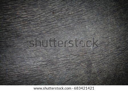 Rhinoceros in forest Africa,Gray animal skin texture background.