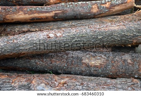 Timber logs stacked in piles