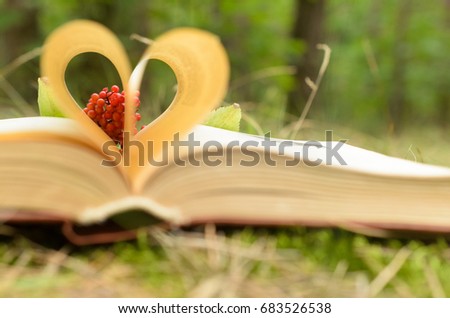 The pages of the opened book are stacked in the form of a heart